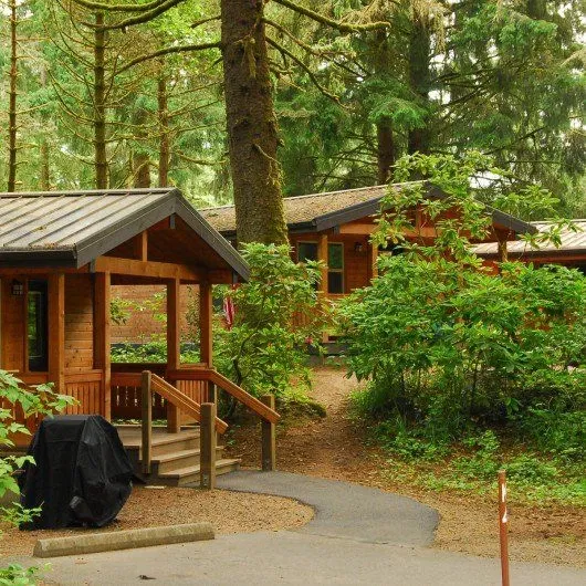Avatar of Summer Camp