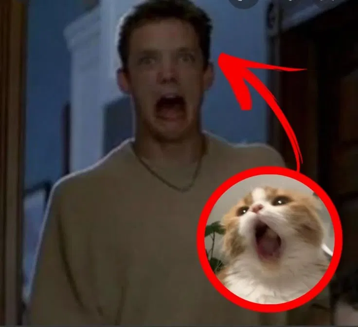 Avatar of STU MACHER