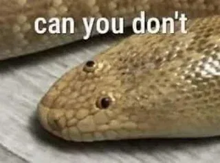 Avatar of Gooby, kind retarded but also helpful flying snake