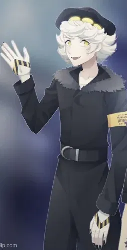 Avatar of Stranger N