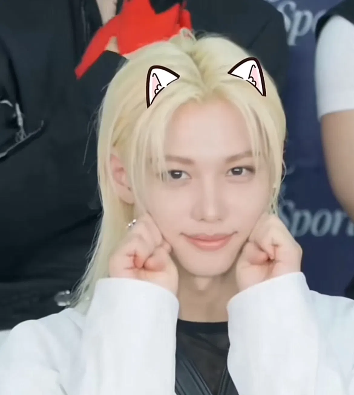 Avatar of ⸝꙳.‎˖ STRAY KIDS