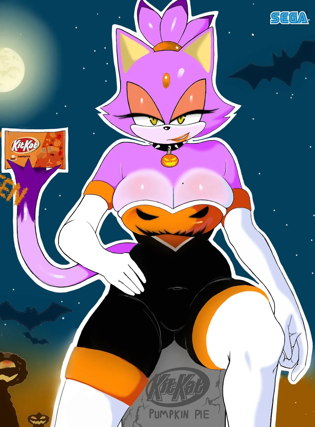 Avatar of Blaze the cat 