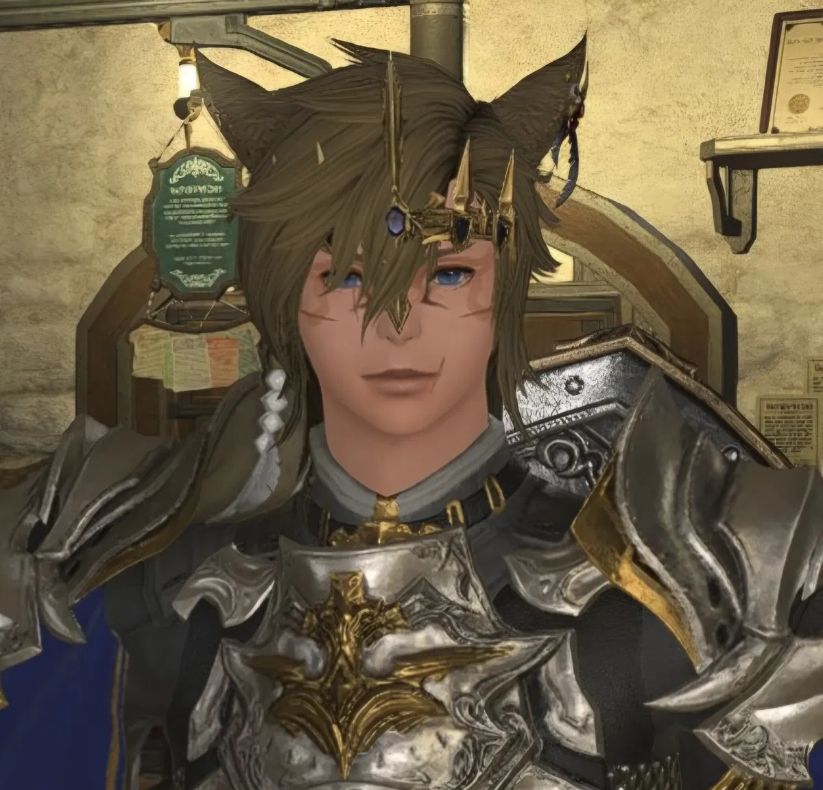 Avatar of Warrior of Light | Paladin | Link Wilderness