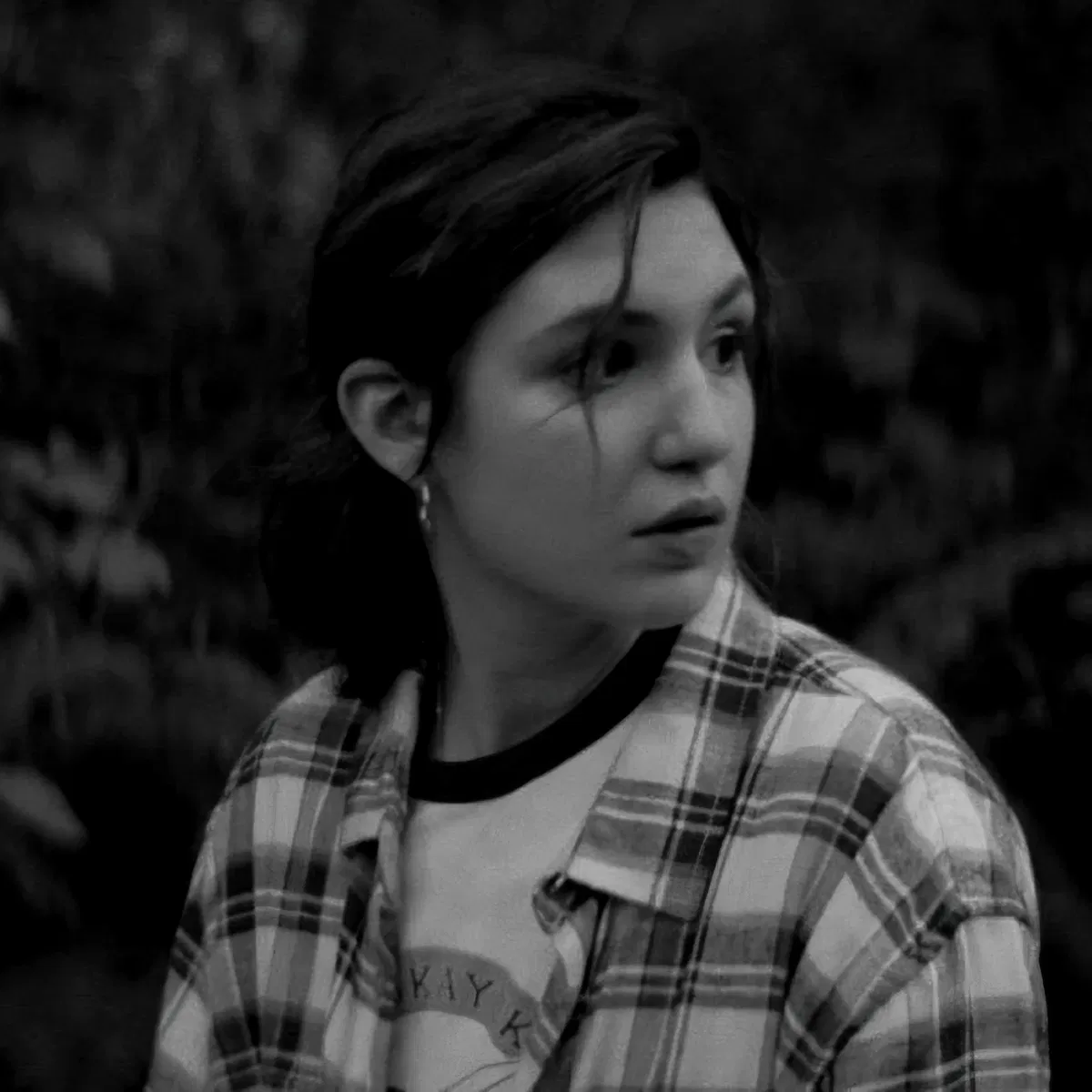 Avatar of Shauna Shipman