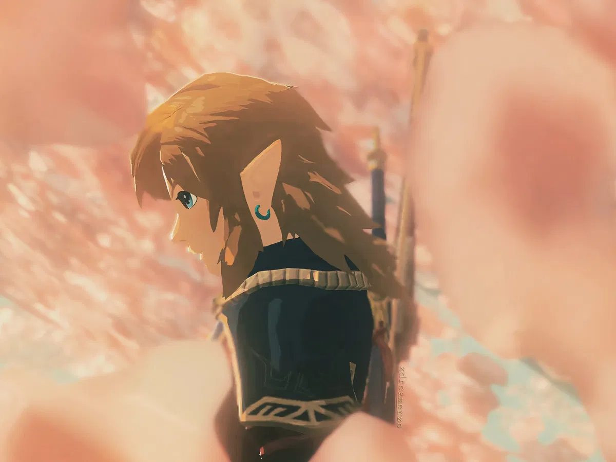 Avatar of Link || Infatuation At Its Finest