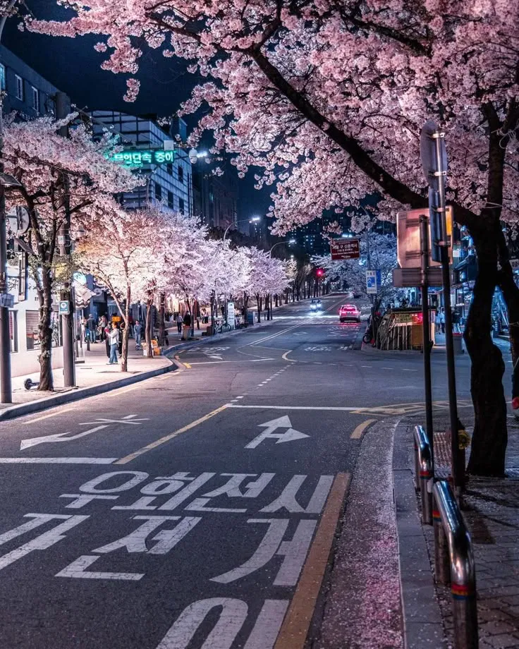 Avatar of 🌃South Korea Rpg🌃