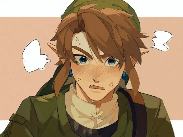 Avatar of Link | Twilight Princess