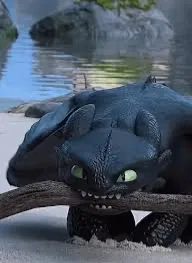 Avatar of Httyd 