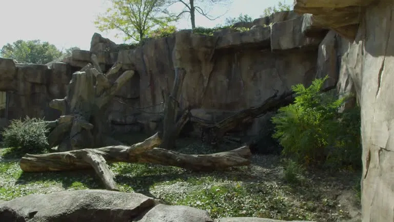 Avatar of Alien Zoo