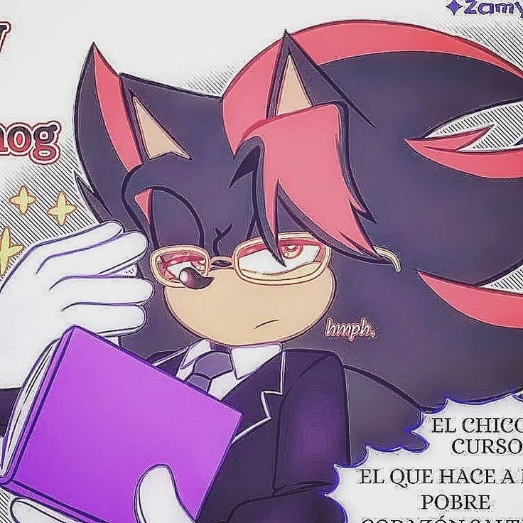 Avatar of Shadow The Hedgehog