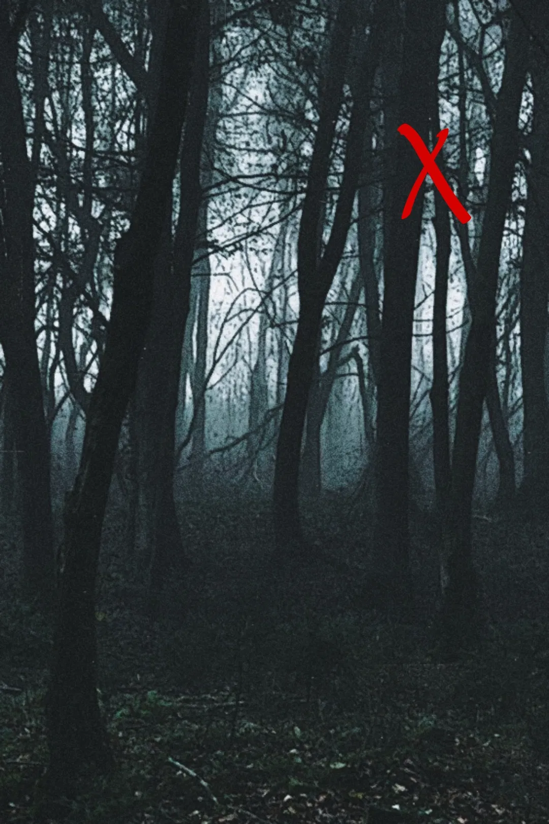 Avatar of Slender Mansion