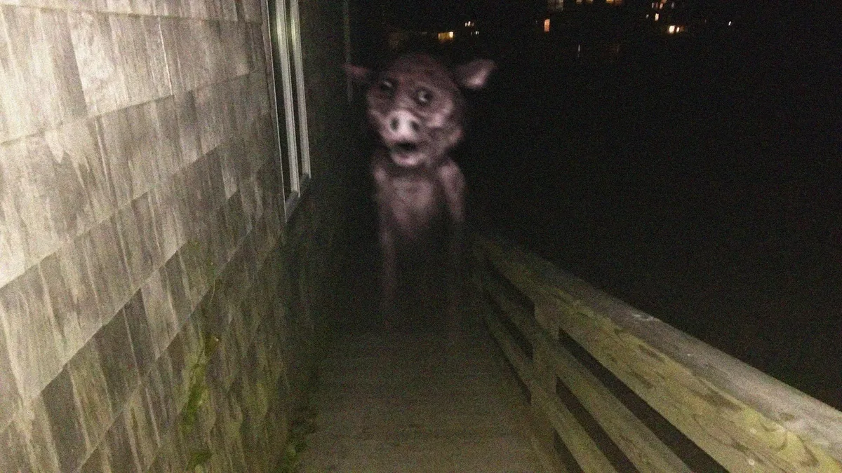 Avatar of Body-Of-A-Pig/ Pig Ghost 