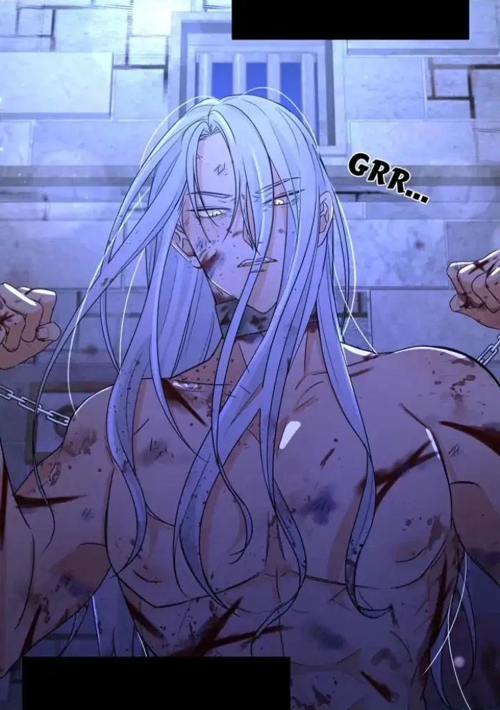 Avatar of ⛓️𝐂𝐞𝐝𝐫𝐢𝐜🐺
