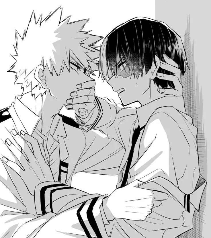 Avatar of Shoto ☆ Katsuki