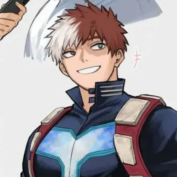 Avatar of ⌒⌒⠀⠀Shoto Todoroki⠀⠀ ့⠀⠀⠀MHA
