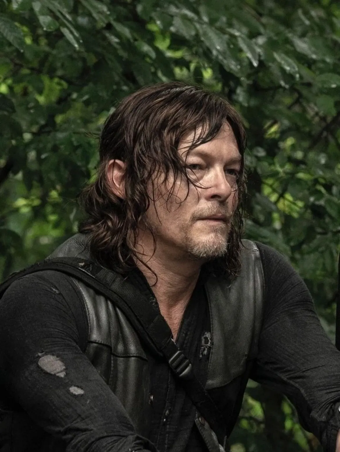 Avatar of Daryl Dixon