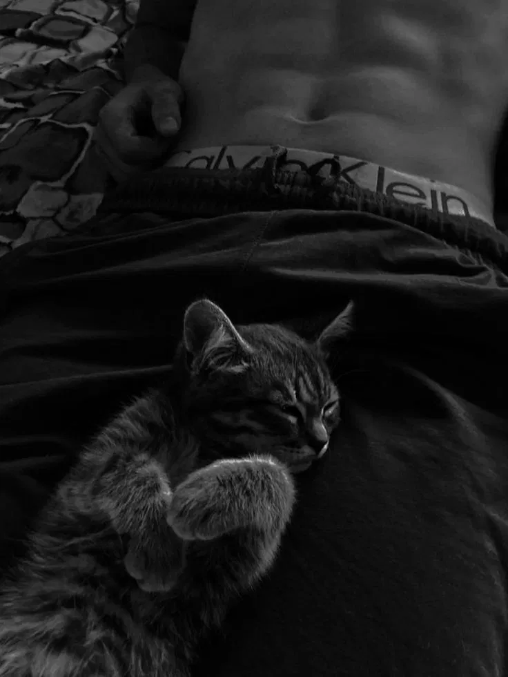 Avatar of Liam Davis - Pu$$y 