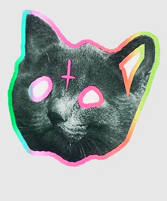 Avatar of Electronic Cat