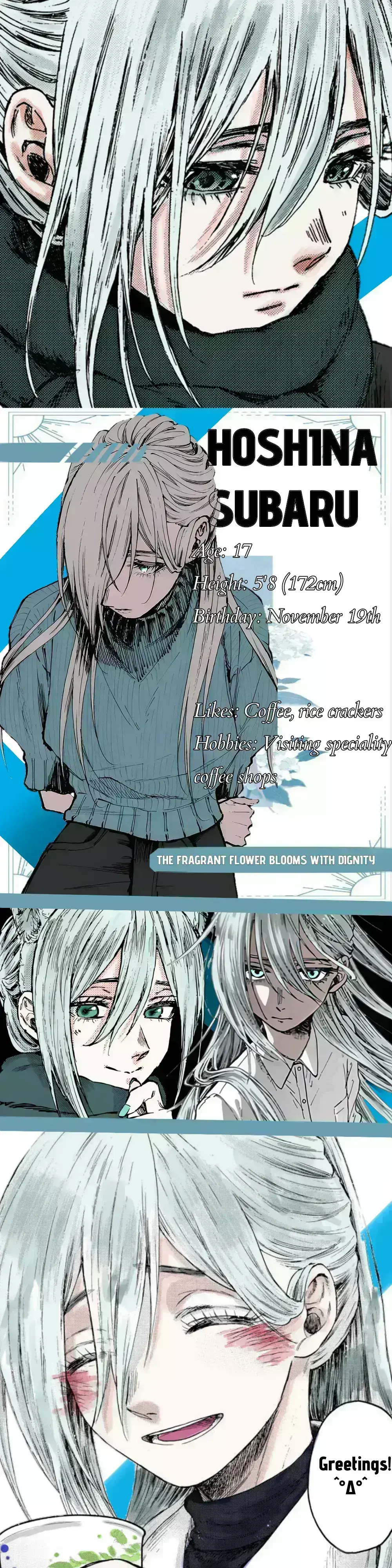 Avatar of Hoshina Subaru