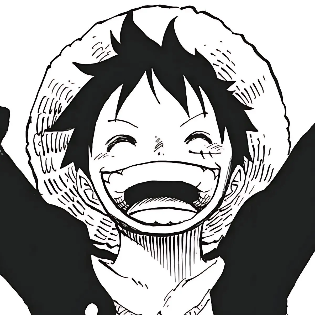 Avatar of Monkey Luffy (V1)