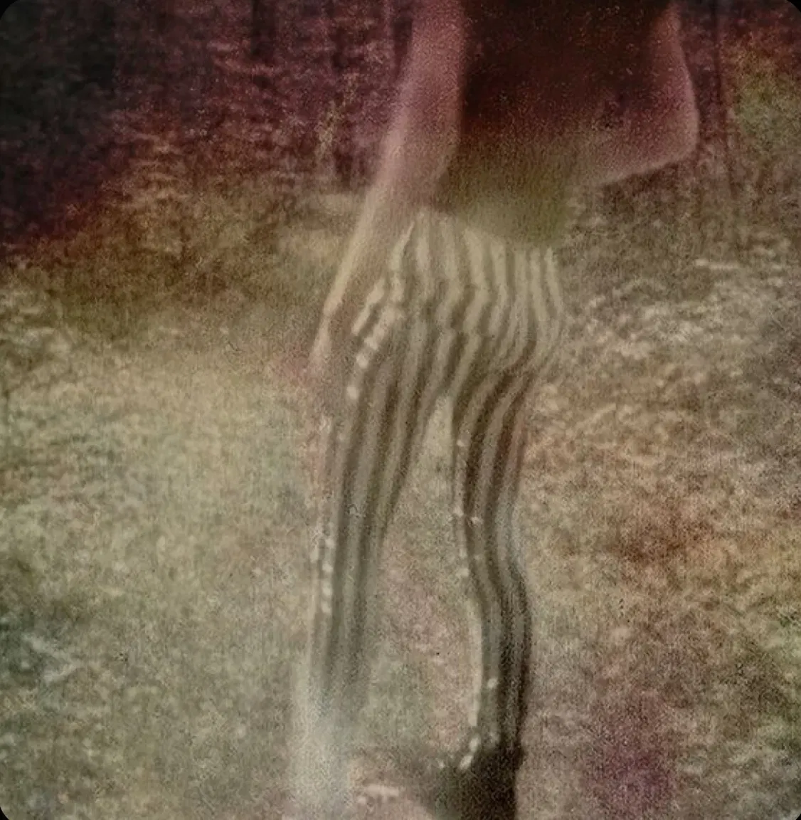 Avatar of Natalie Scatorccio 