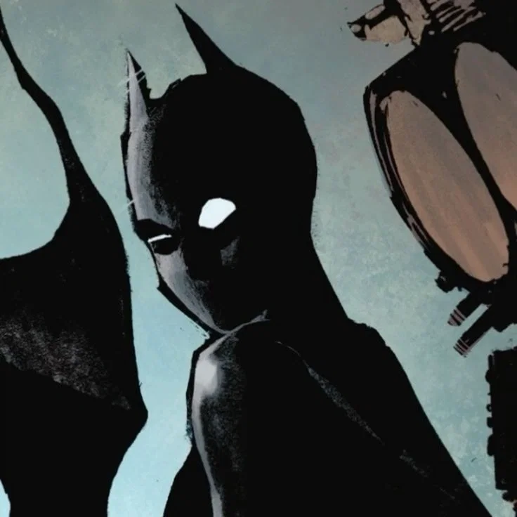 Avatar of 🦇 Cassandra cain 🦇