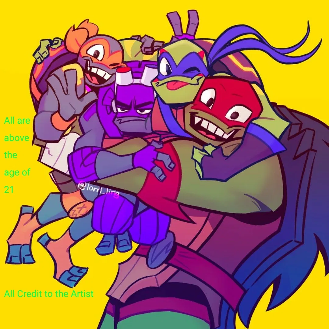Avatar of Rise Of The TMNT