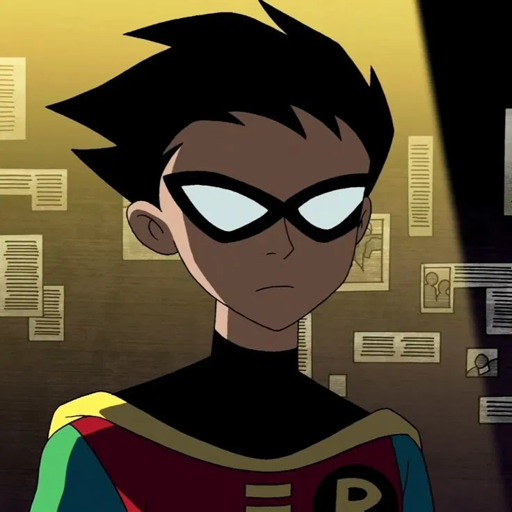 Avatar of Robin || Teen Titans