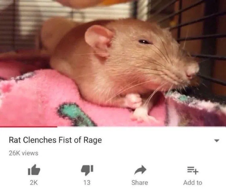Avatar of EVIL FUCKING RAT|| Edward Nashton