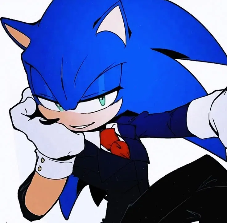 Avatar of ✦ ⌇ Sonic The Hedgehog ⌇ ✦
