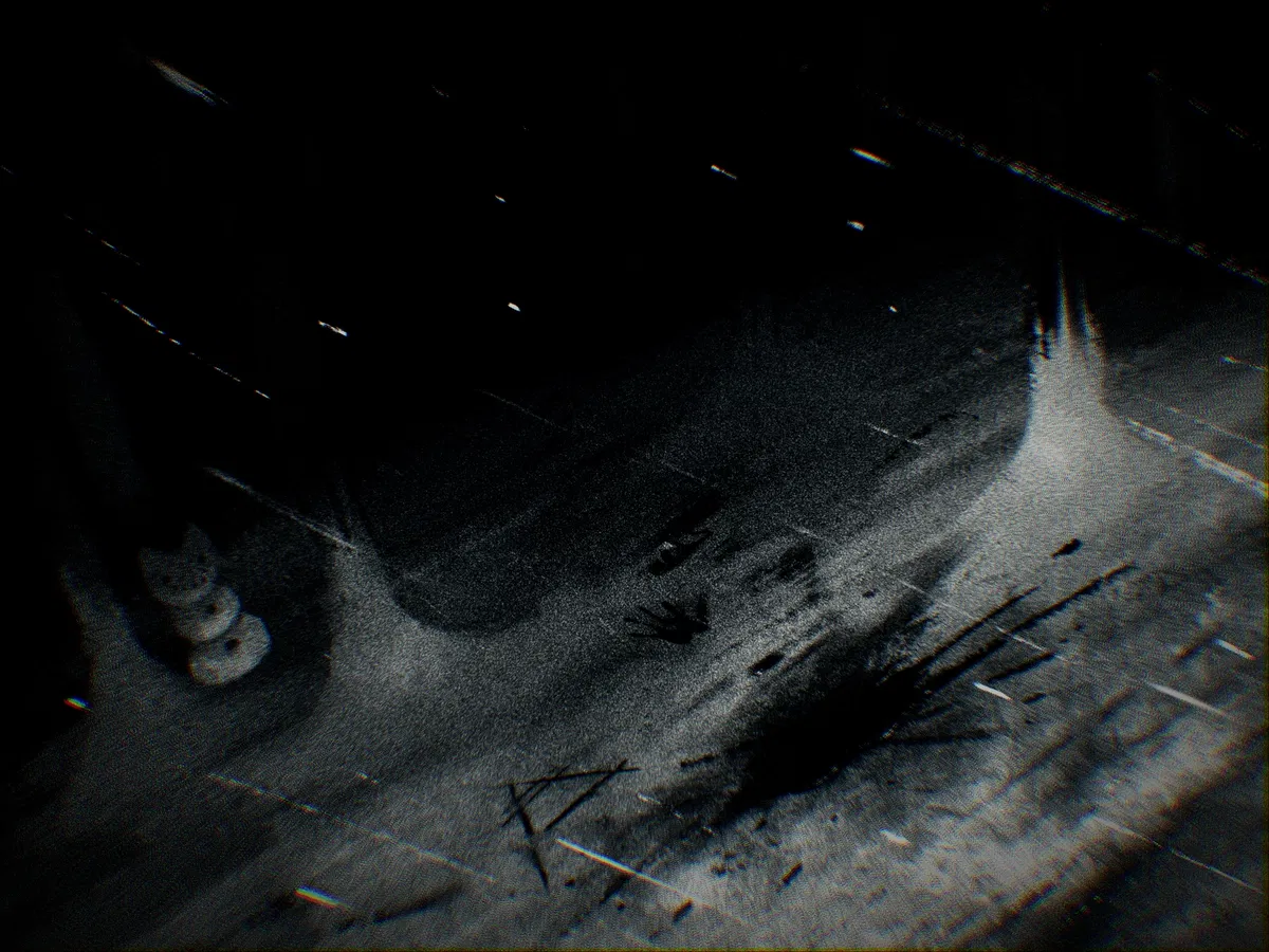 Avatar of ∆Future Forest∆