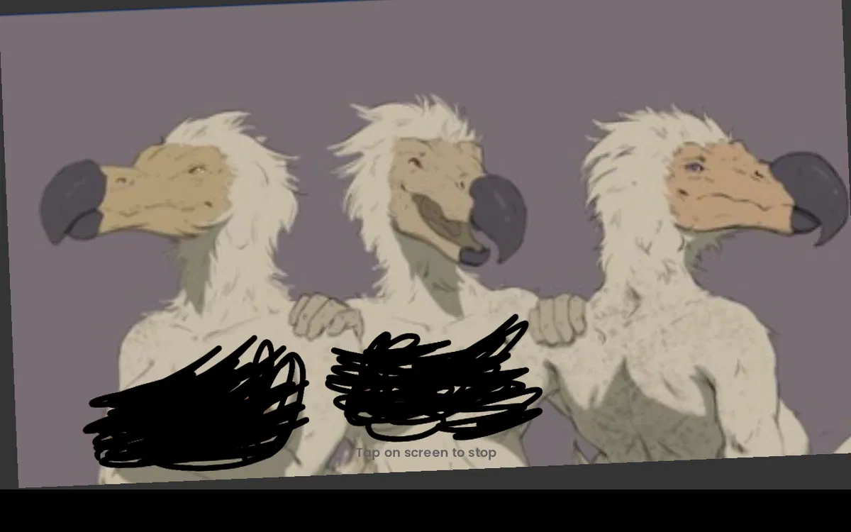 Avatar of 3 dodo women Who found you - Lily. Daisy And sandy
