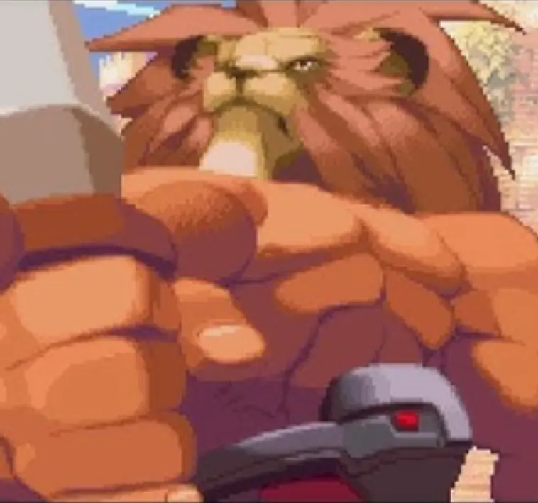 Avatar of Leo