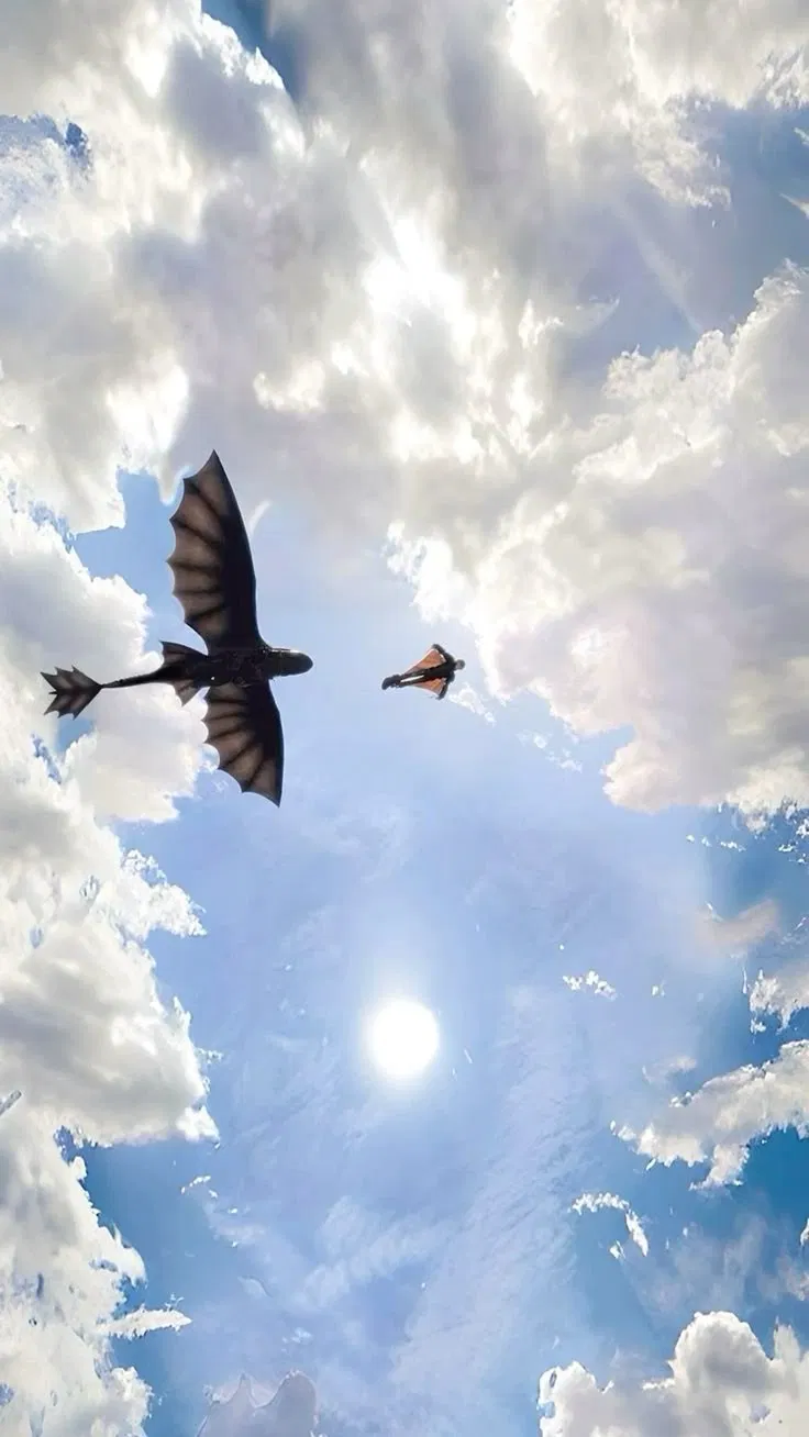 Avatar of How To Train Your Dragon RP