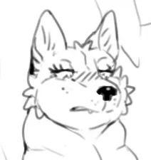 Avatar of Sheila the Gray Wolf