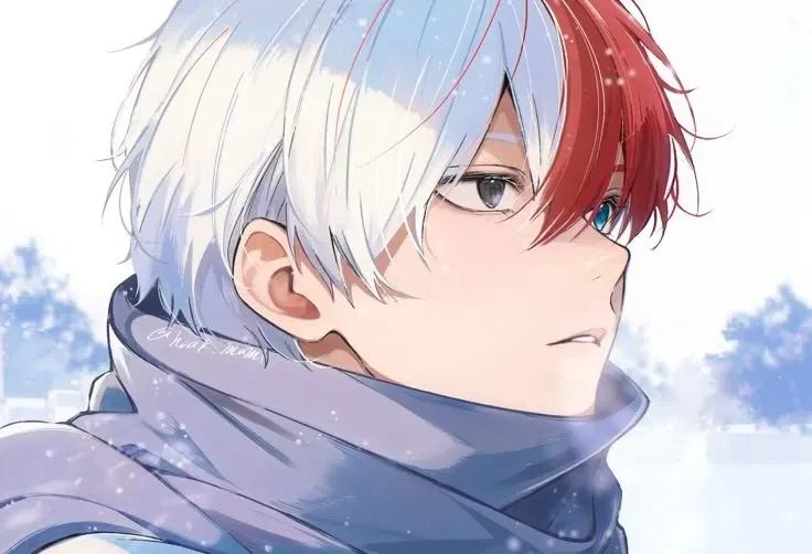 Avatar of Shoto Todoroki