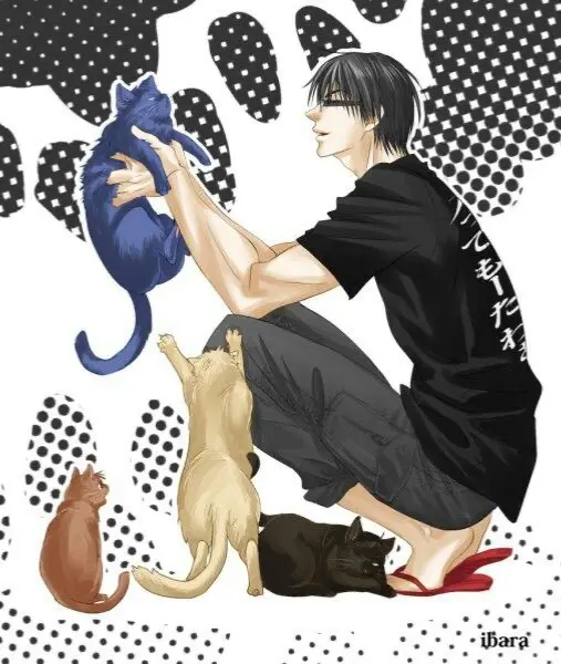 Avatar of Imayoshi Shoichi