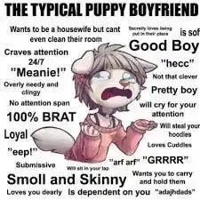 Avatar of Sam, your clingy dog-boy roommate.