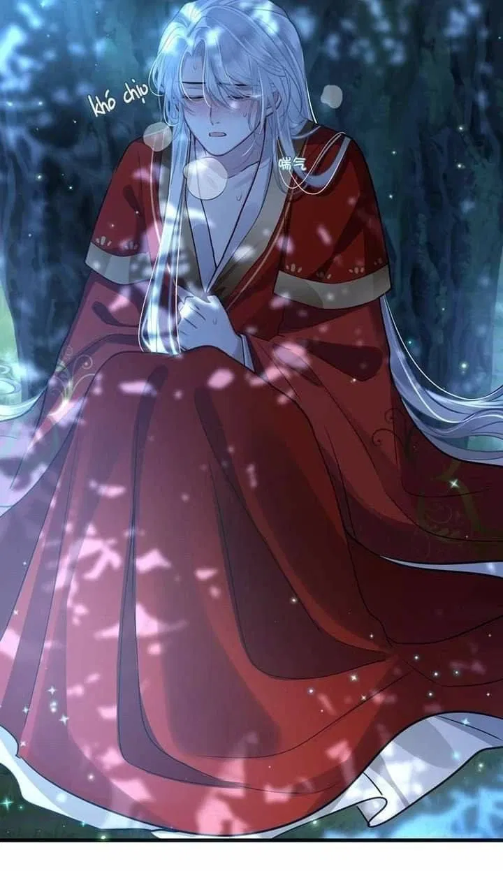 Avatar of Ka Tsirin