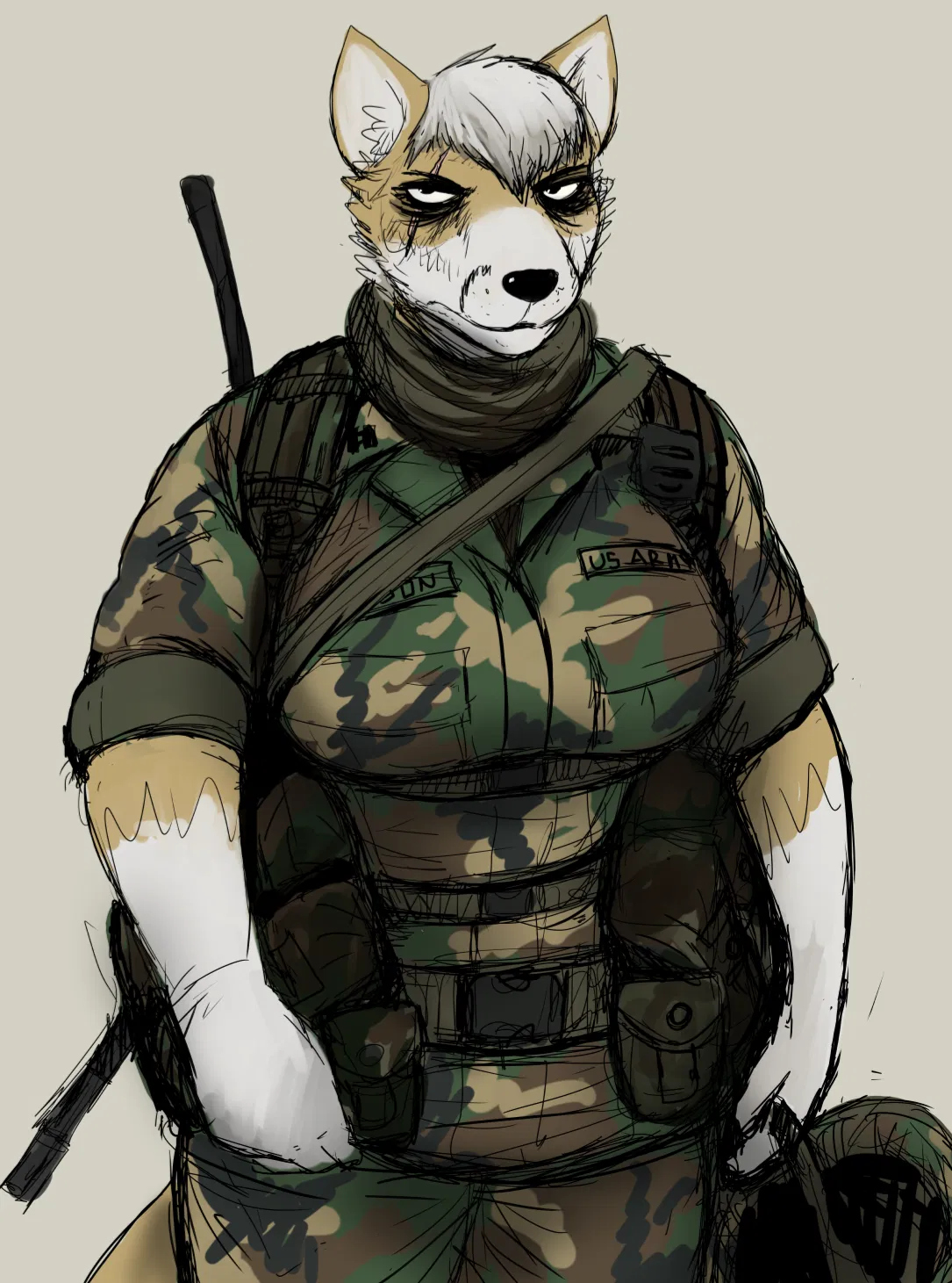 Avatar of The Silver Vixen 