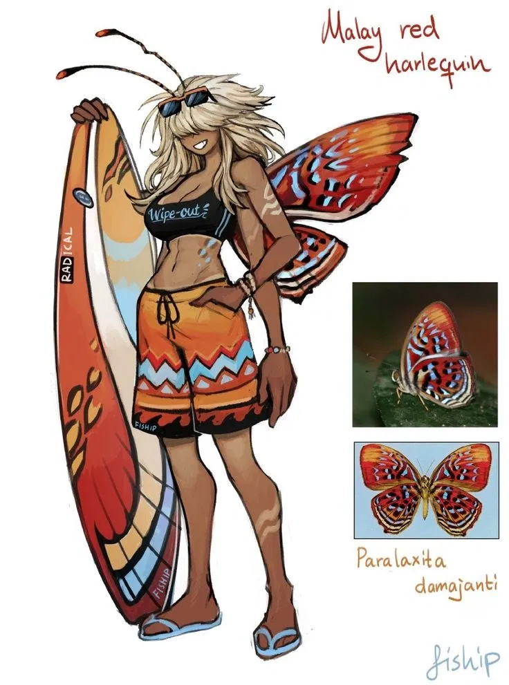 Avatar of Malay red harlequin // Paralaxita damajanti