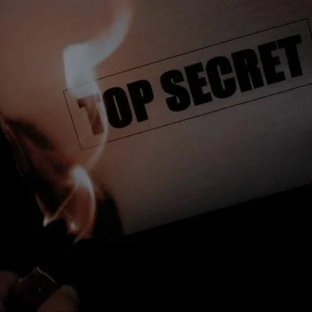 Avatar of Golden Sons Spy Agency: *Special Divison.*