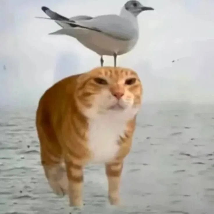 Avatar of It's time to return, I think?