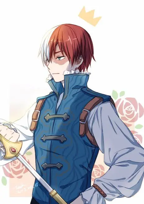 Avatar of Sir Shoto Todoroki- personal knight