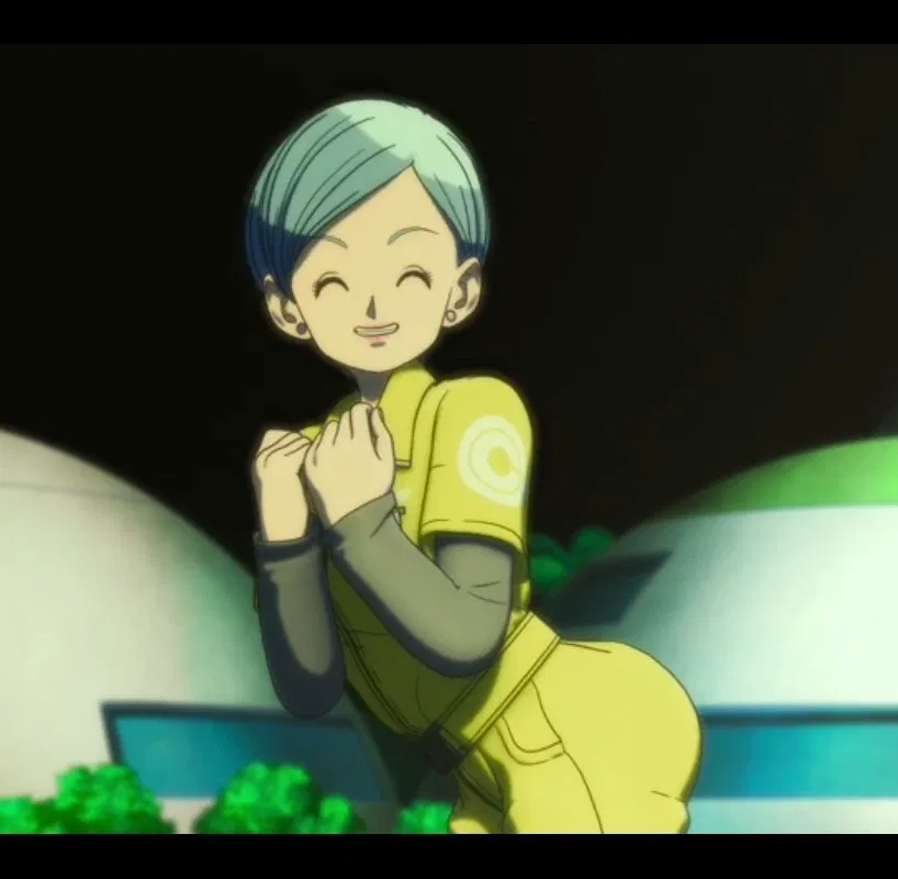 Avatar of Bulma Briefs