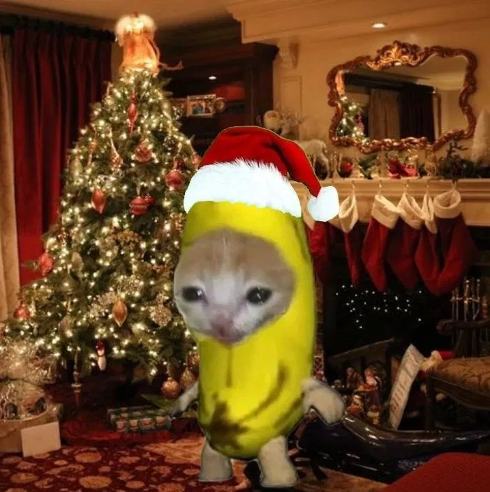 Avatar of MERRY CHRISTMAS!! 🎄