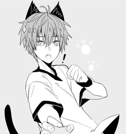 Avatar of Cat hybrid transformation