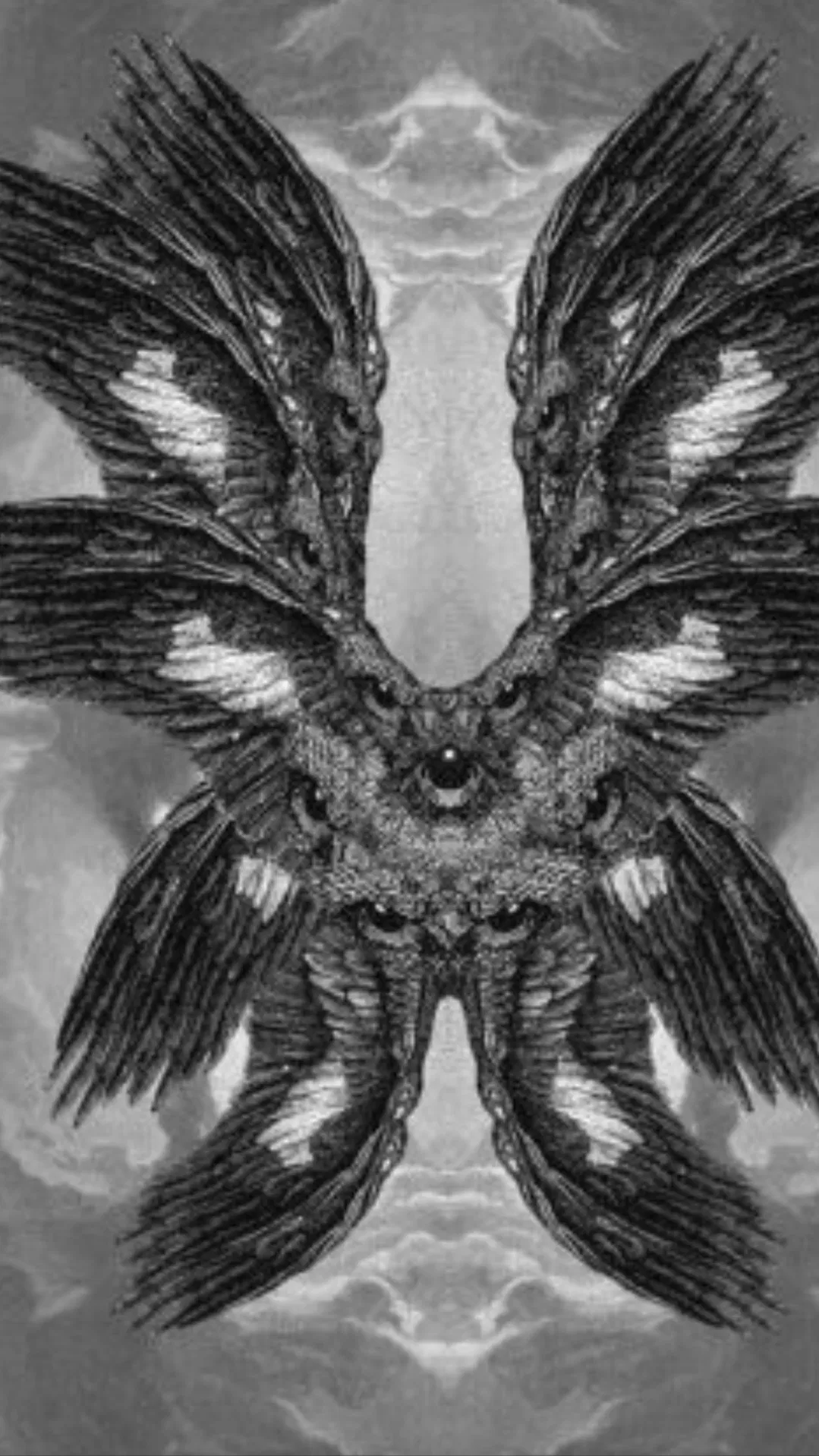 Avatar of Ipomea