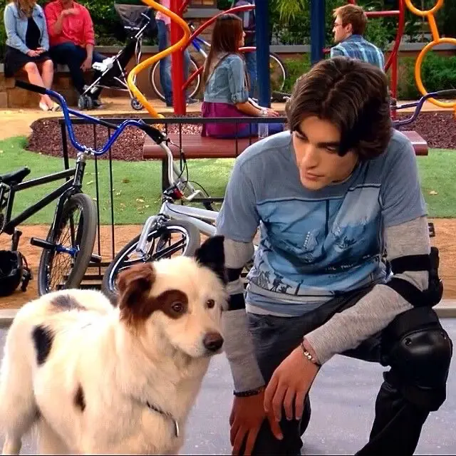 Avatar of Tyler James - Dog with the Blog