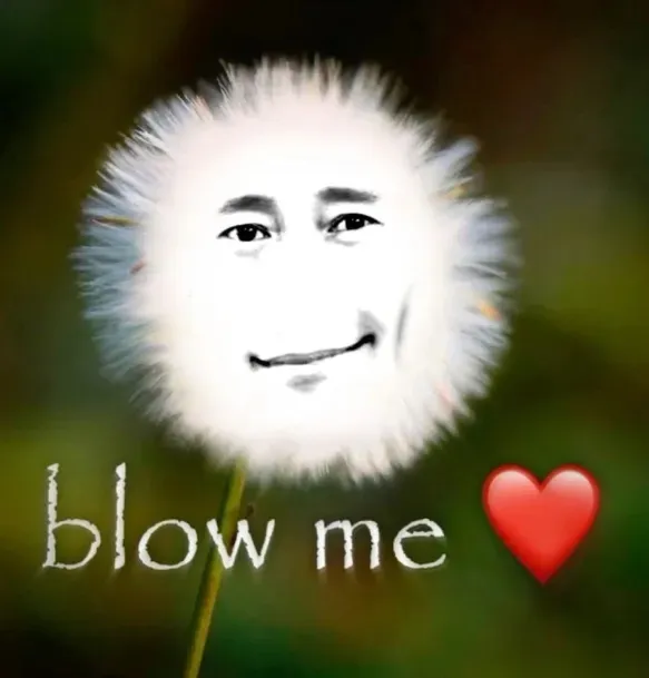 Avatar of 200 followers celebration